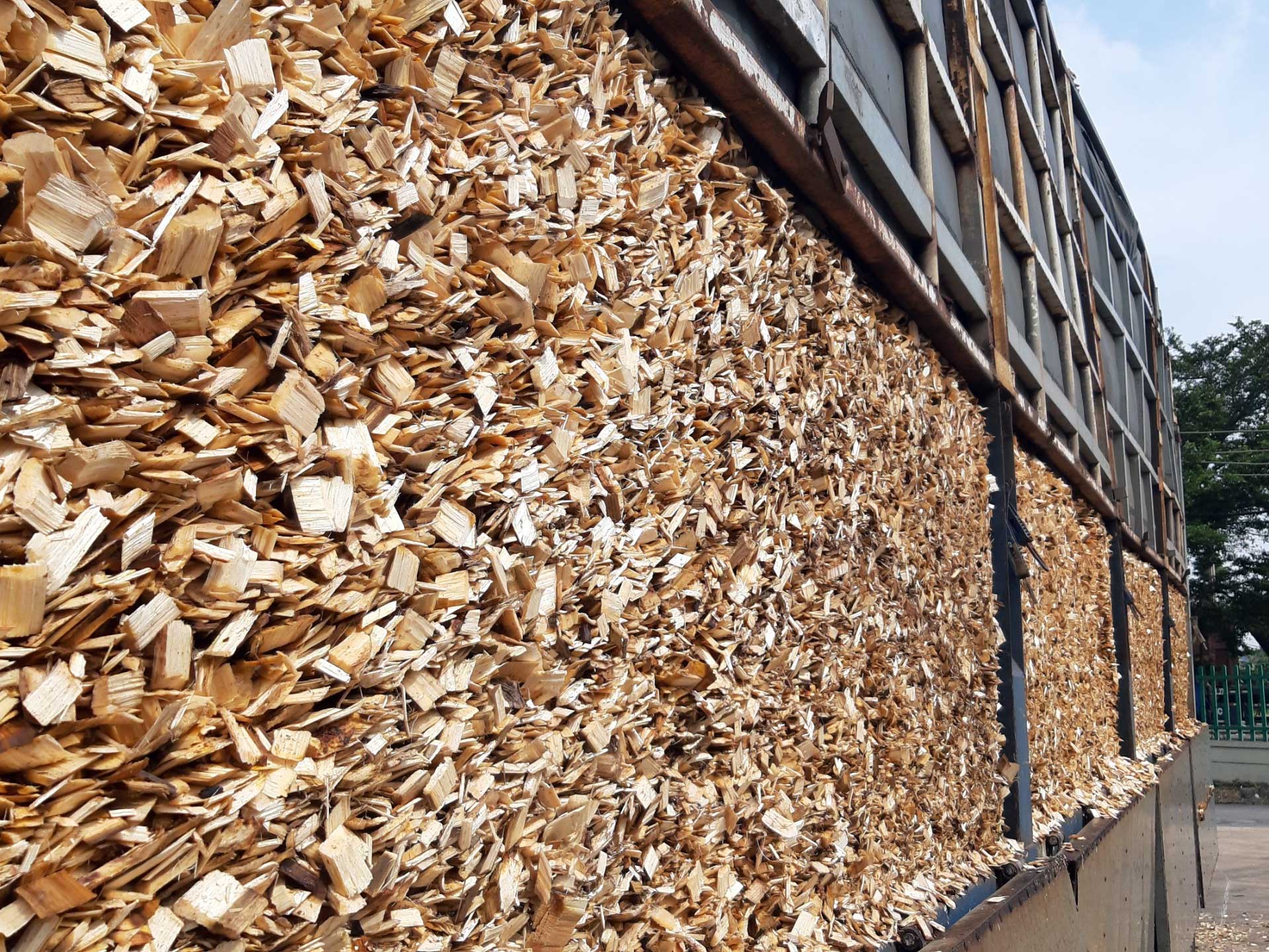 wood-chip
